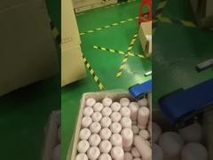 स्क्रीन प्रिंटिंग और बैगिंग मशीन